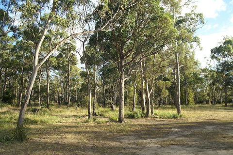 Hobart Bush Cabins - Northern Rivers Accommodation 2