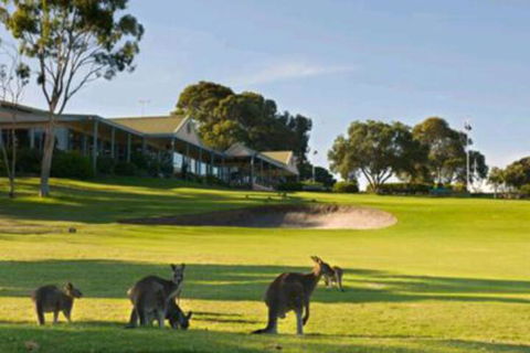Early Settlers Motel Tocumwal - Northern Rivers Accommodation 6