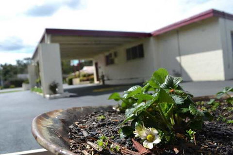 Wattle Motel - Northern Rivers Accommodation 2