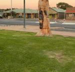 Lake Albert Motel - Northern Rivers Accommodation