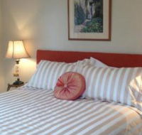 Every Man  His Dog Vineyard - Northern Rivers Accommodation