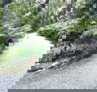 Mountain Lodge - Northern Rivers Accommodation