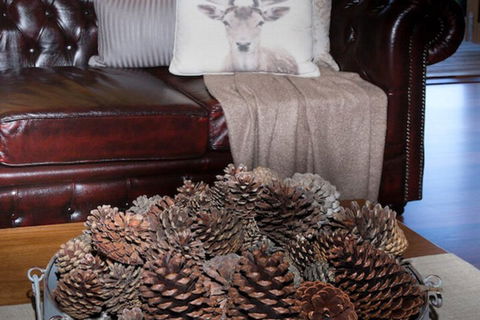 Drom Aluinn B & B - Northern Rivers Accommodation 4