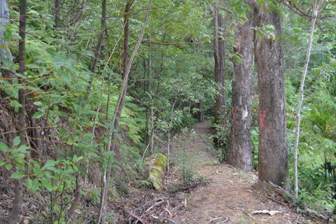 Turmeric Gardens - Northern Rivers Accommodation 5