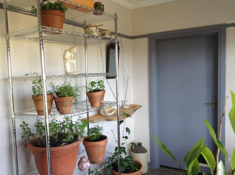 Springmead B & B - Northern Rivers Accommodation 1