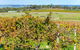 Sun & Surf Aldinga Beach Apartment - thumb 6