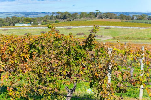 Sun & Surf Aldinga Beach Apartment - Northern Rivers Accommodation 6