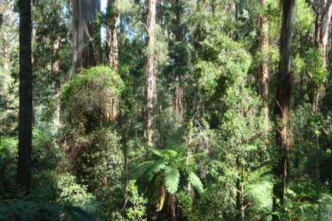 SIGNAL BOX Short Stay - Northern Rivers Accommodation 3