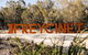 Freycinet Resort - thumb 4
