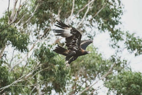 Freycinet Resort - Northern Rivers Accommodation 1