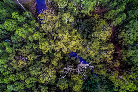 Saintys Creek Cottage - Northern Rivers Accommodation 4