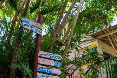 Somewhere To Stay Backpackers - Northern Rivers Accommodation 2