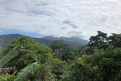 Mossman Gorge Bed & Breakfast - Northern Rivers Accommodation 5