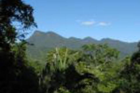 Mossman Gorge Bed & Breakfast - Northern Rivers Accommodation 0