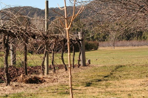 The Farmhouse At Blue Wren Wines - Northern Rivers Accommodation 3