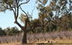 The Farmhouse At Blue Wren Wines - thumb 1