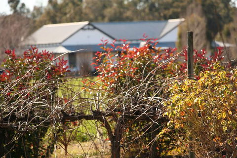 The Farmhouse At Blue Wren Wines - Northern Rivers Accommodation 2
