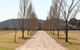 The Farmhouse At Blue Wren Wines - thumb 4