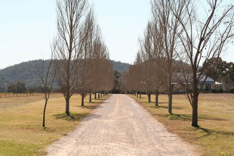 The Farmhouse At Blue Wren Wines - Northern Rivers Accommodation 4