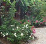Maldons Eaglehawk Motel - Northern Rivers Accommodation