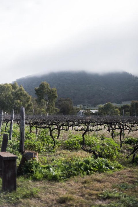 Hope Farm Guesthouse - Northern Rivers Accommodation 2