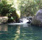Daintree Secrets Rainforest Sanctuary - Northern Rivers Accommodation