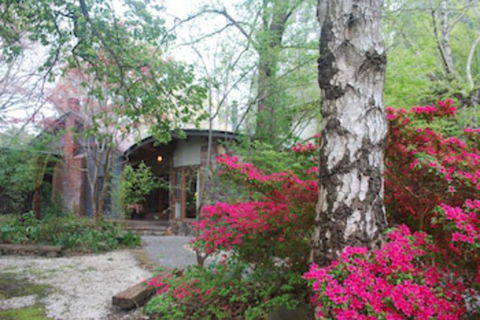 Rocky Creek Art Garden B&B - Northern Rivers Accommodation 0
