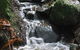 Rocky Creek Art Garden B&B - thumb 4