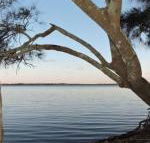 Waterfront Jervis Bay Escape Cooinda - Northern Rivers Accommodation