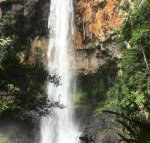 Purling Brook Falls Gwongorella - Northern Rivers Accommodation