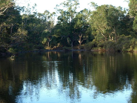 Rickaty On Blackwood - Northern Rivers Accommodation 5