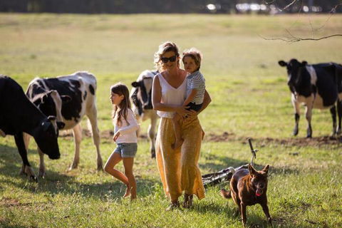 Redgate Forest Retreat - Northern Rivers Accommodation 4