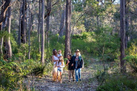 Redgate Forest Retreat - Northern Rivers Accommodation 2