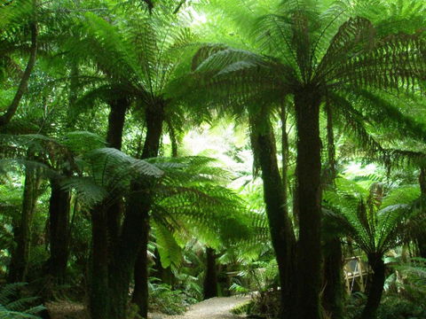 Watercolours - Northern Rivers Accommodation 1