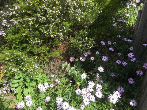 Nest On A Crest - Northern Rivers Accommodation 4