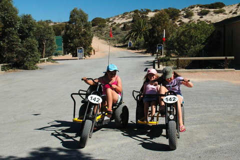 Ceduna Shelly Beach Caravan Park - Northern Rivers Accommodation 4