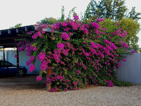Broken Hill Outback Church Stay - Northern Rivers Accommodation 2