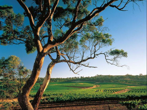 The Reserve Apartment - Northern Rivers Accommodation 2