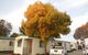 Wodonga Caravan & Cabin Park - thumb 0