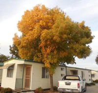 Wodonga Caravan  Cabin Park - Northern Rivers Accommodation