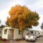 Wodonga Caravan & Cabin Park - Northern Rivers Accommodation 1