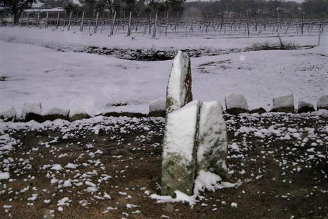 Taits Place Vineyard B & B - Northern Rivers Accommodation 1