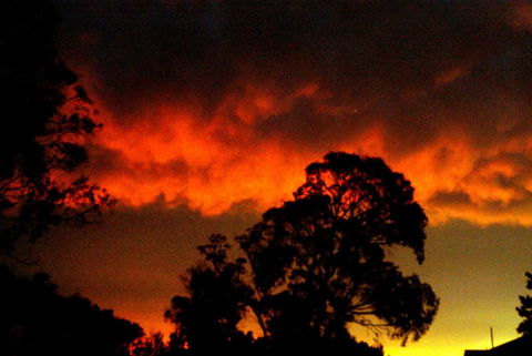 Taits Place Vineyard B & B - Northern Rivers Accommodation 2