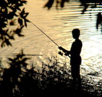 Wooli River Lodges - Northern Rivers Accommodation
