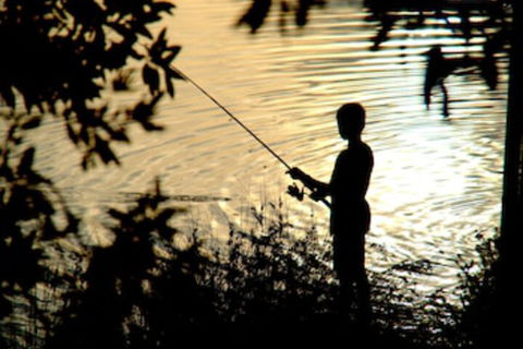 Wooli River Lodges - Northern Rivers Accommodation 0