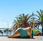 Alex Headland Beachfront - Northern Rivers Accommodation