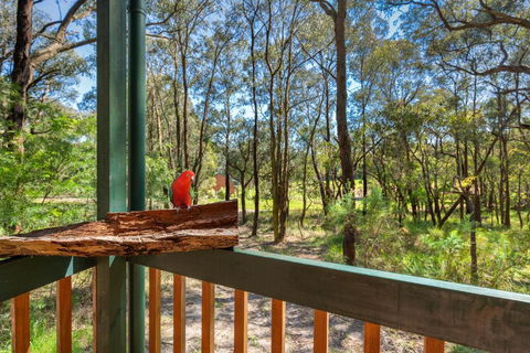 Cockatoo Cottages - Northern Rivers Accommodation 6