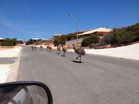 Shark Bay B & B - Northern Rivers Accommodation 6