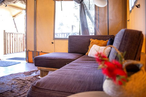 Scamander Sanctuary Holiday Park - Northern Rivers Accommodation 2