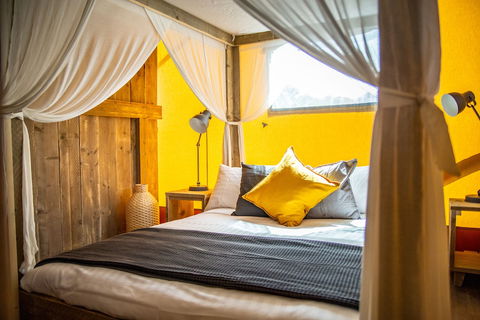 Scamander Sanctuary Holiday Park - Northern Rivers Accommodation 5